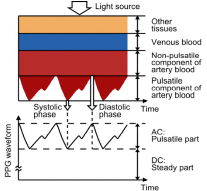 PPG Depth Diagram